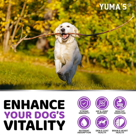 Dog Multivitamin