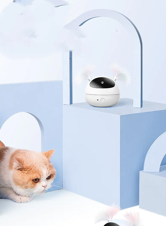 Laser Toy For Cats