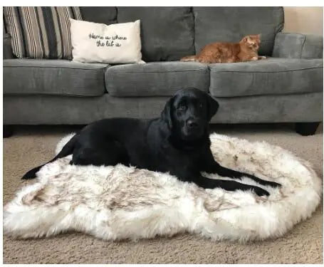 Thick Soft Mat for Large Dogs